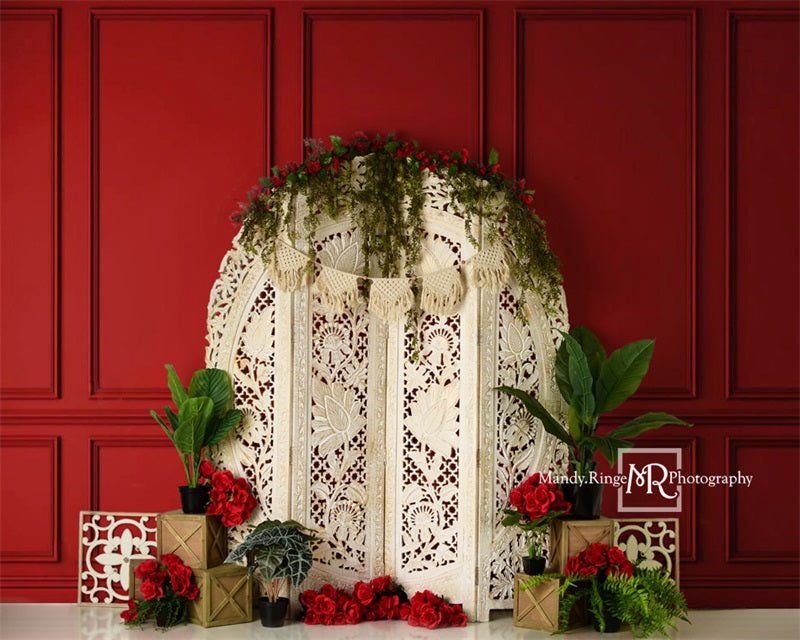 Kate Valentine's Screen with Red Wall Backdrop Designed by Mandy Ringe Photography -UK
