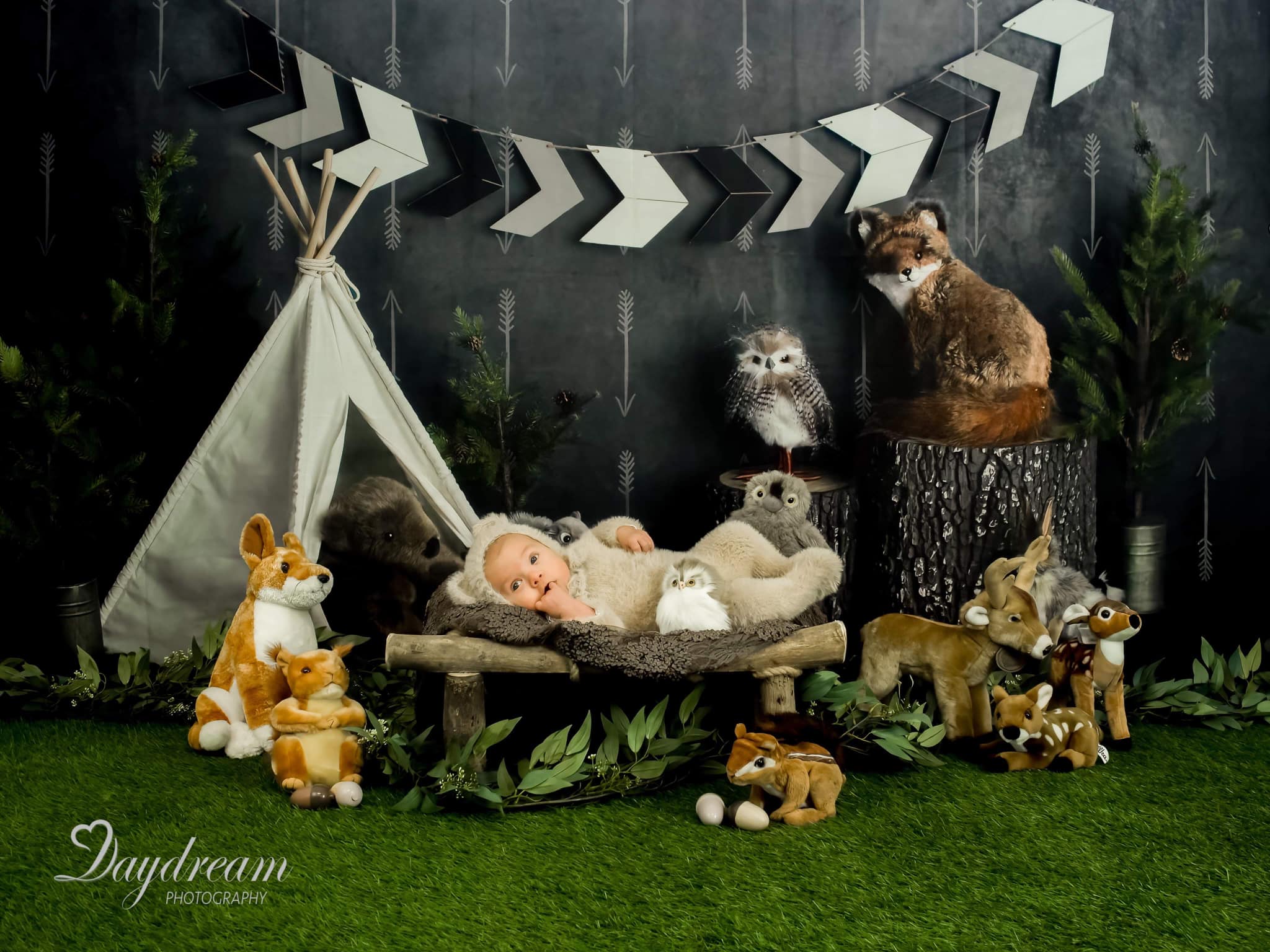 Kate Wild Birthday with Animals Children Backdrop Designed By Mandy Ringe Photography -UK