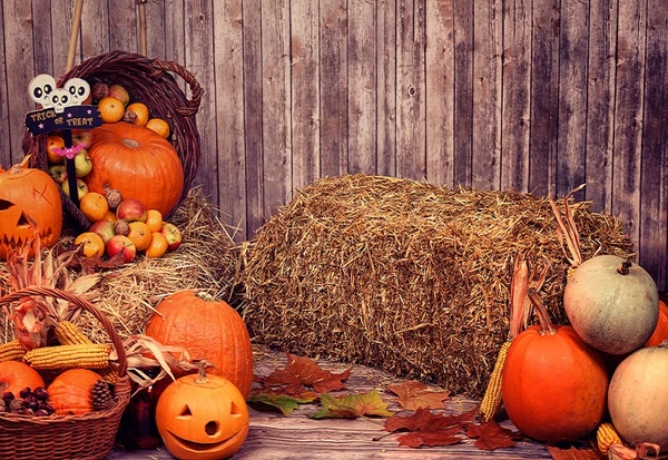 Kate Halloween Autumn Pumpkin Grass Pile Farm Backdrop Photography -UK