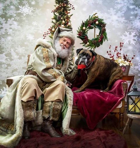 Kate Bokeh snowflake Background Children Holiday Christmas Photography Backdrop - Kate backdrops UK