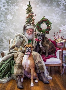 Kate Bokeh snowflake Background Children Holiday Christmas Photography Backdrop - Kate backdrops UK