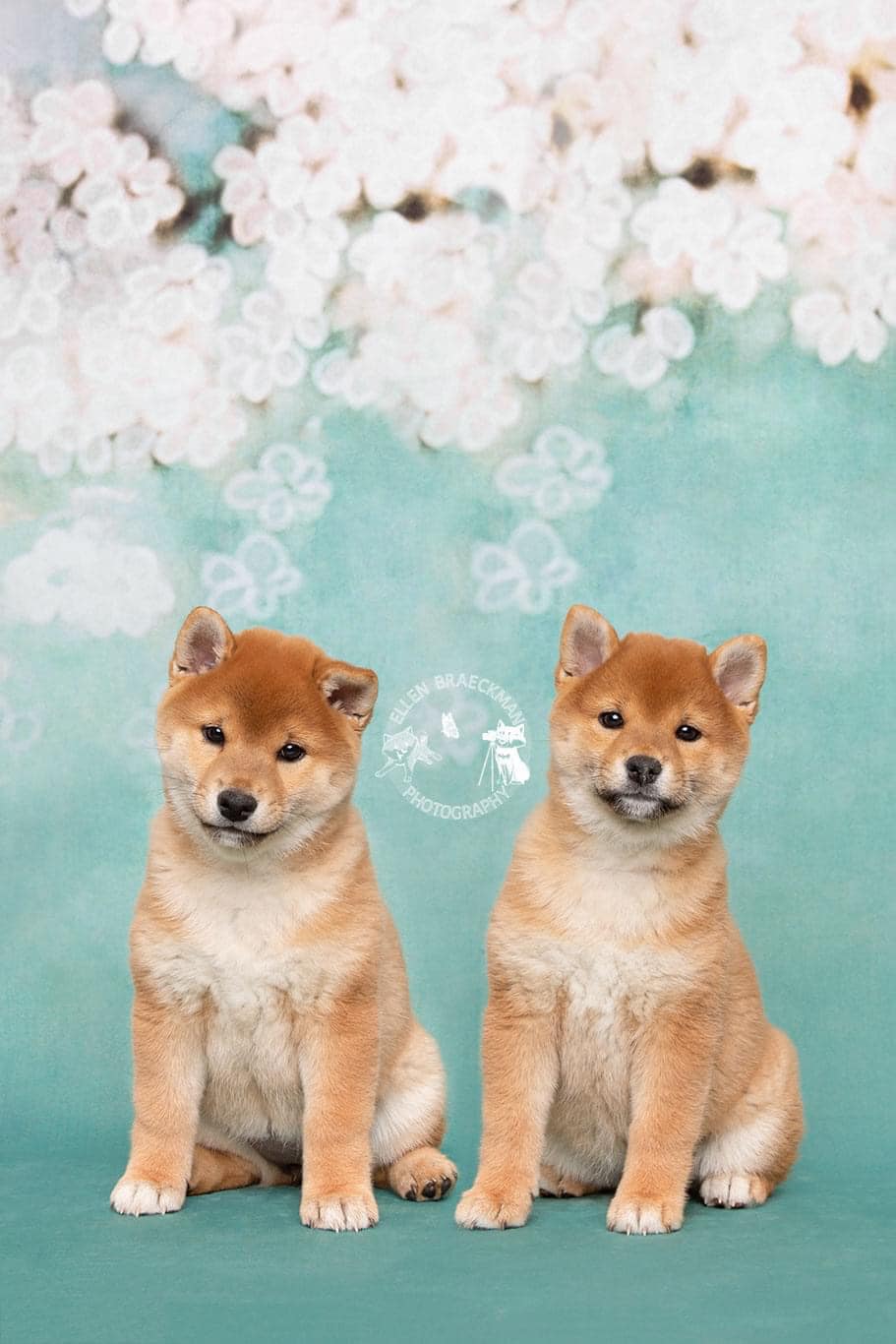 Kate Retro Green Background With Pink Flowers Backdrops for Children -UK