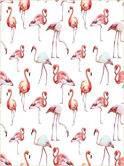 Katebackdrop:Kate Red Crane Animal Backdrop For Children