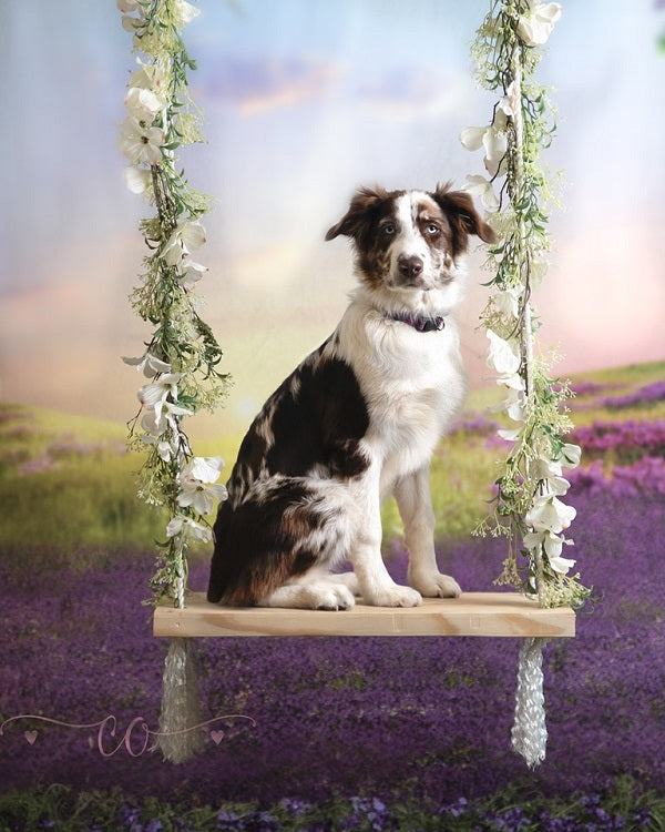 Kate Lavender Sunset Scenery Backdrop for Photography