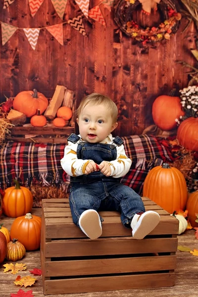 Kate Halloween Pumpkin Haystack Autumn Backdrop for Photograpy -UK
