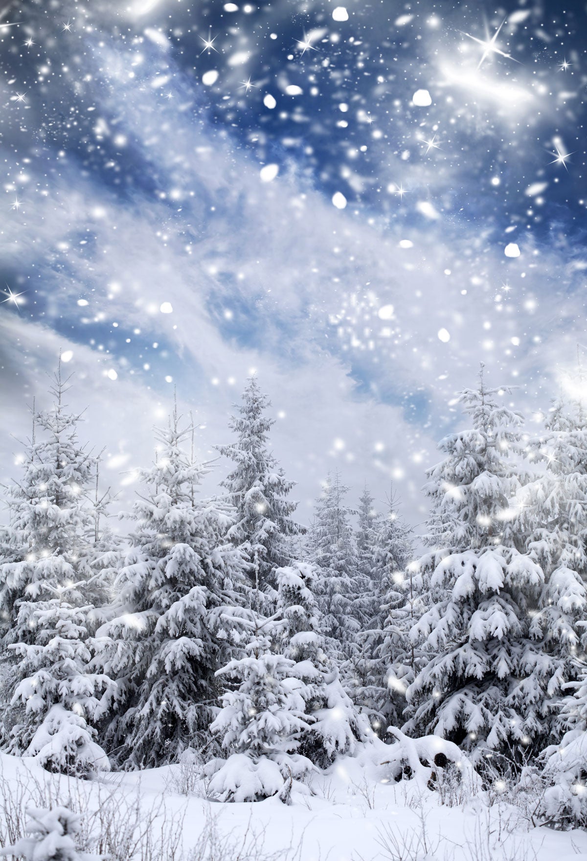Kate Snow Winter Forest Snowflake Backdrop for Photography -UK