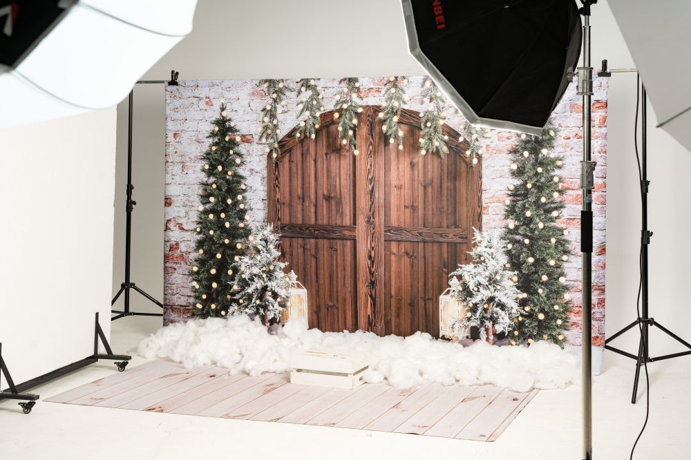 Kate Christmas Wooden Barn Door Backdrop Designed by Emetselch -UK