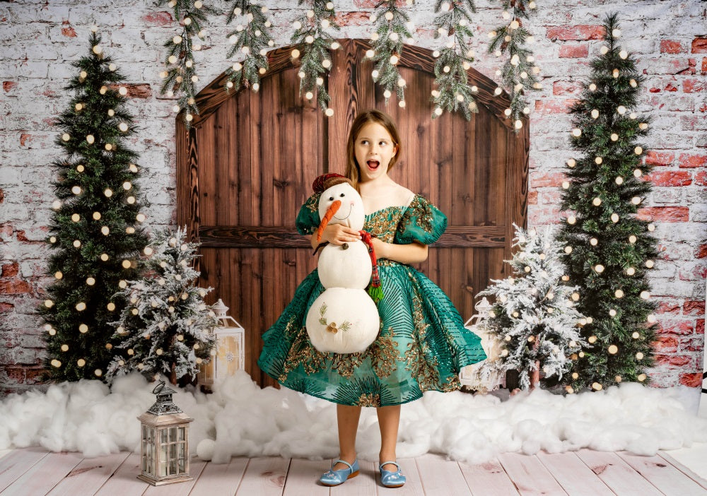 Kate Christmas Wooden Barn Door Backdrop Designed by Emetselch