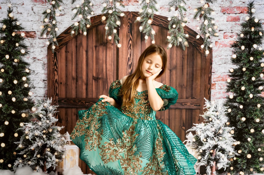 Kate Christmas Wooden Barn Door Backdrop Designed by Emetselch -UK