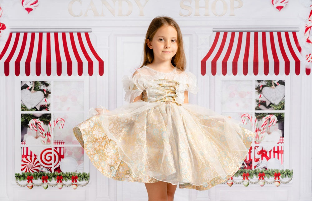 Kate Christmas Candy Shop Children Backdrop for Photography -UK