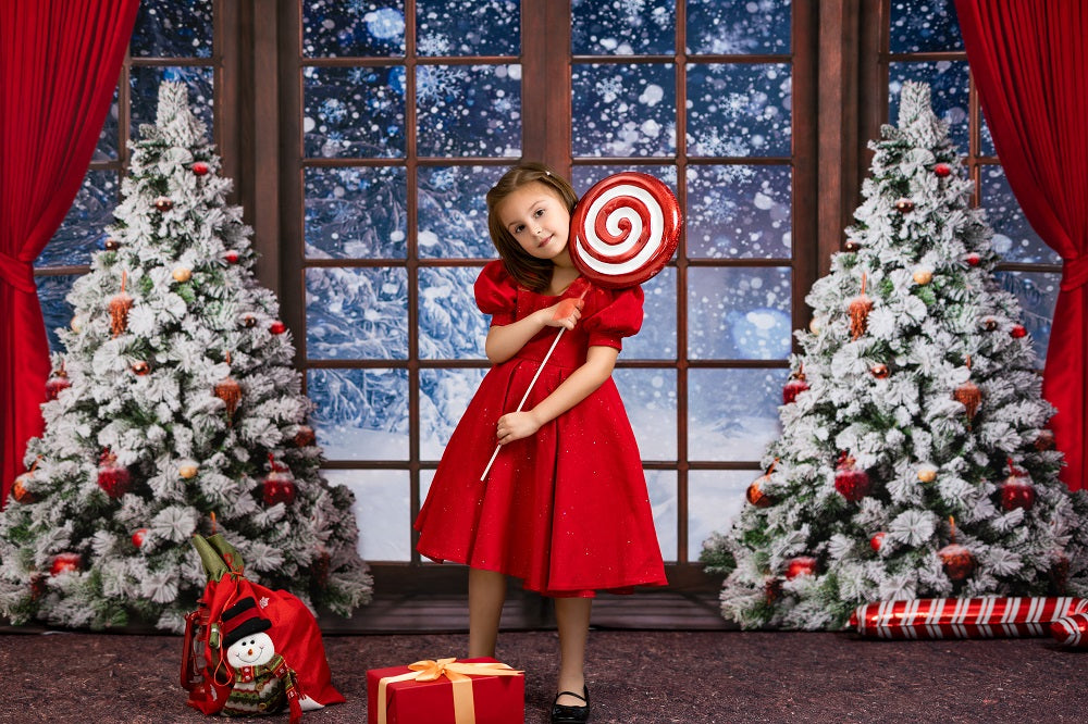 Kate Winter Snow Christmas Window Backdrop Designed by Chain Photography -UK