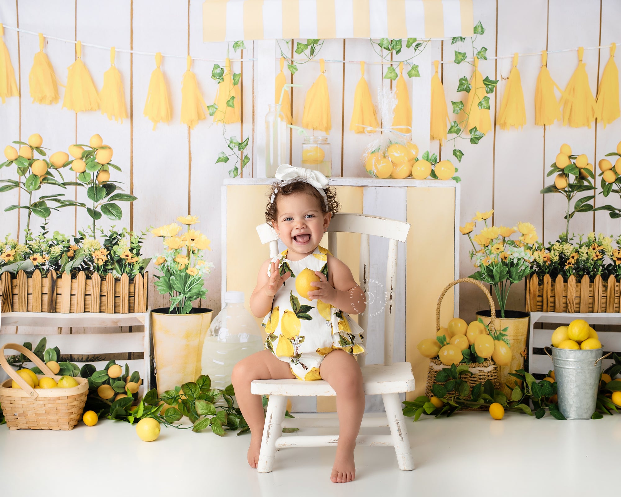 Kate Summer Lemonade Store Backdrop Designed by Jia Chan Photography