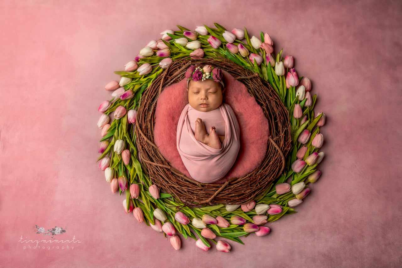 Kate Pink Tones Fine Art Abstract Backdrop designed by Veronika Gant -UK