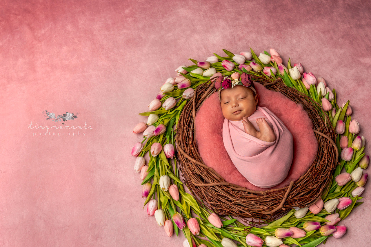 Kate Pink Tones Fine Art Abstract Backdrop designed by Veronika Gant -UK