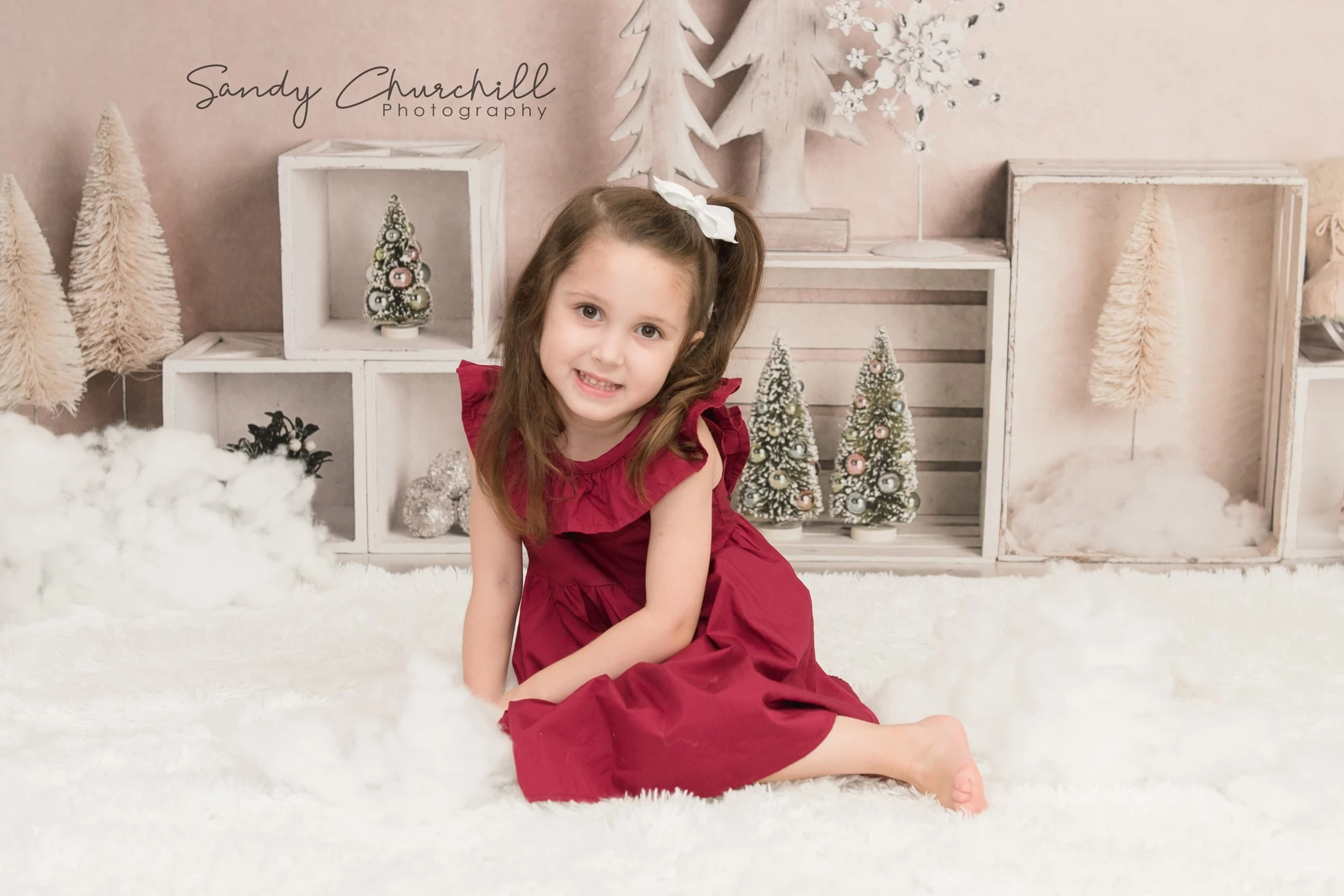 Kate Christmas Elegant Winter Backdrop Designed By Mandy Ringe Photography -UK