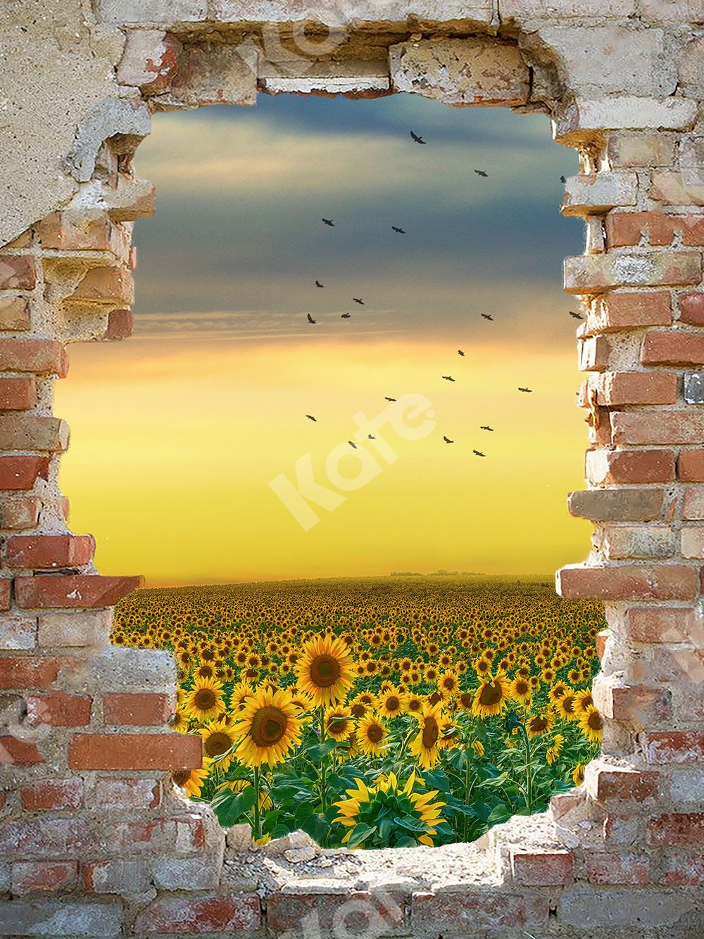 Kate Sunflower Field Backdrop with Broken Wall Designed by Chain Photography -UK