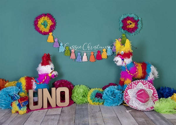 Kate 1st Birthday Party with Colorful Decoration Backdrop for Photography Designed by Cassie Christiansen -UK