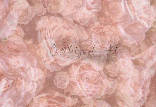 Kate Flower Roses Backdrop for Photography Designed by Jenna Onyia