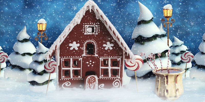 Kate Christmas Gingerbread House Snow Backdrop for Photography -UK