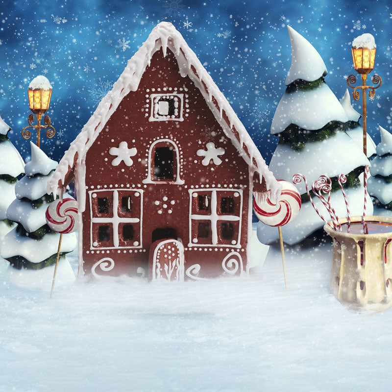 Kate Christmas Gingerbread House Snow Backdrop for Photography -UK