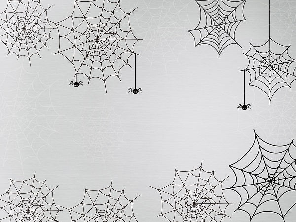 Kate Halloween Spiderweb Light Color Backdrop for Photography Designed By Jerry_Sina -UK