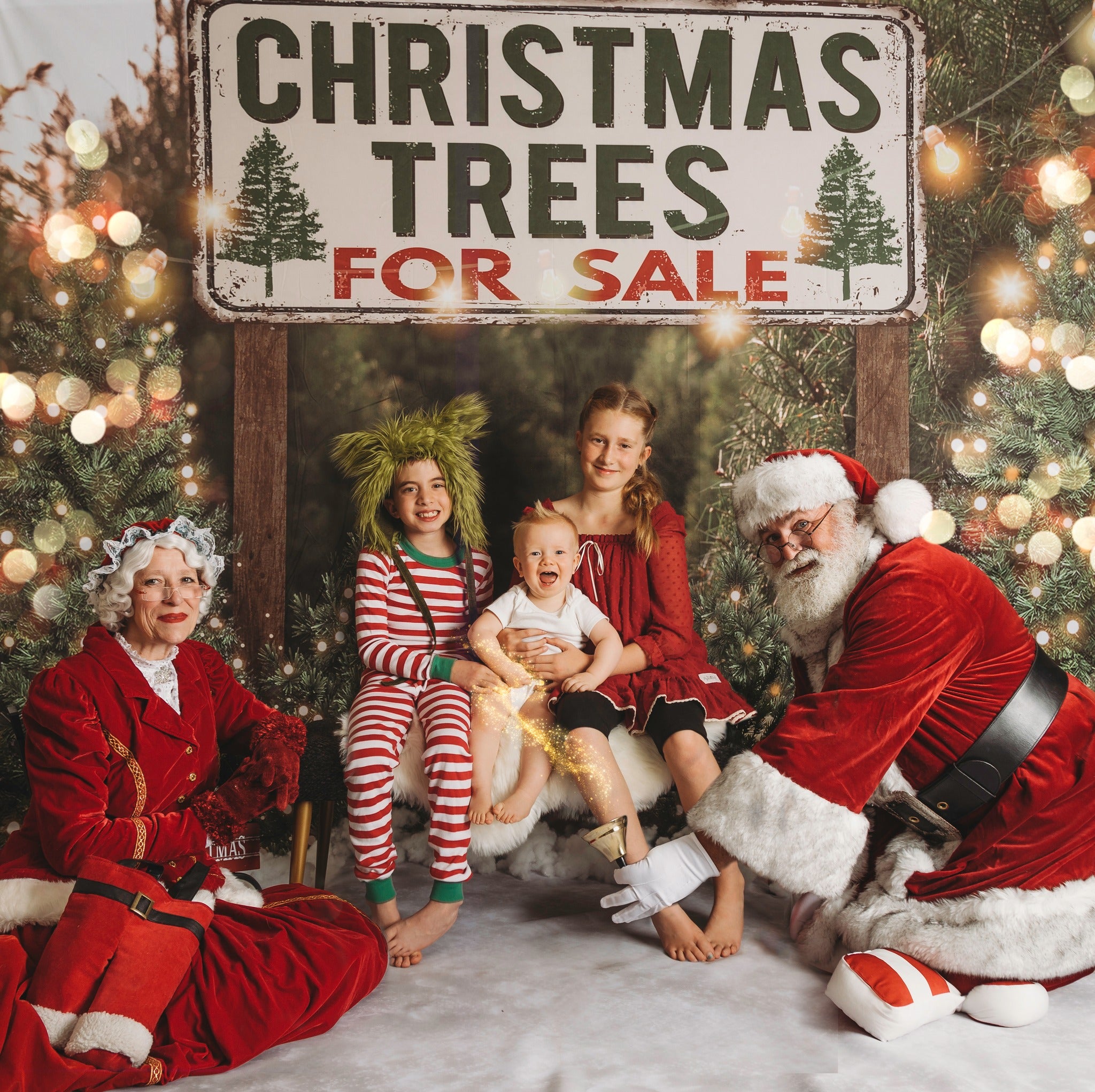 Kate Christmas Trees Backdrop for Photography Designed By JS Photography -UK