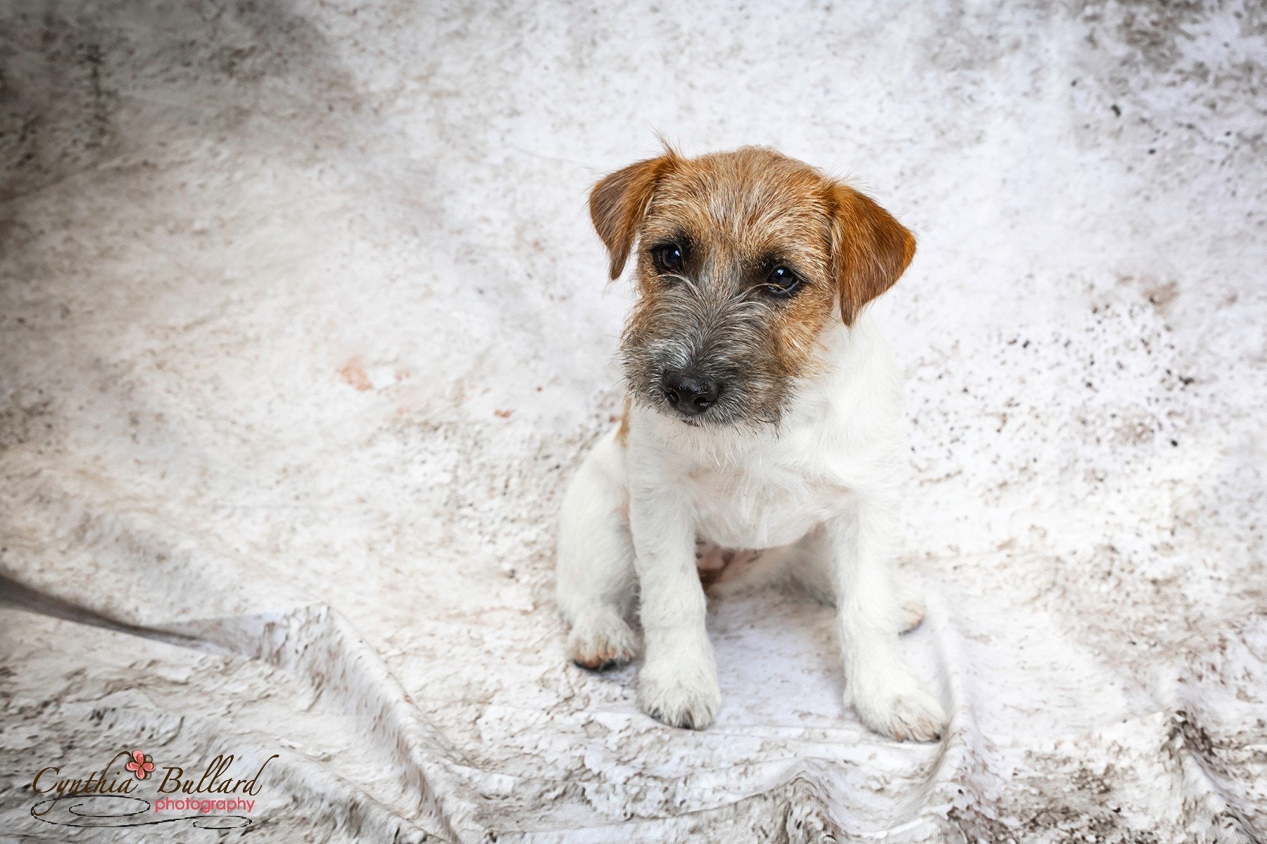 Kate Retro Wall Backdrop for Photography -UK