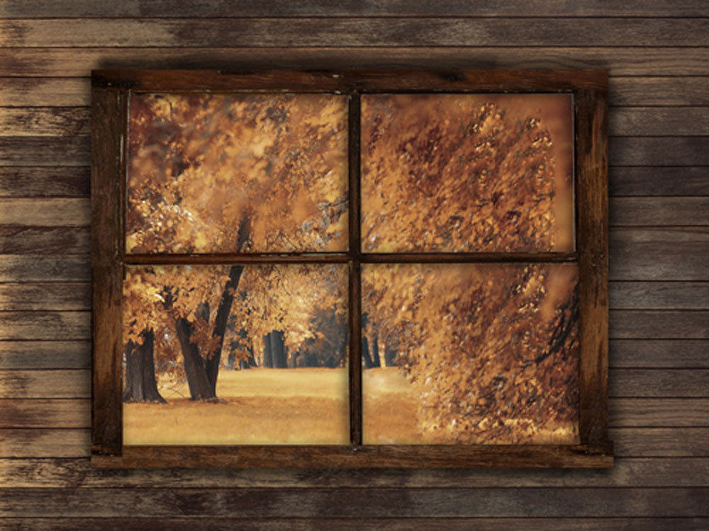 Kate Autumn Window Backdrop for Photography -UK