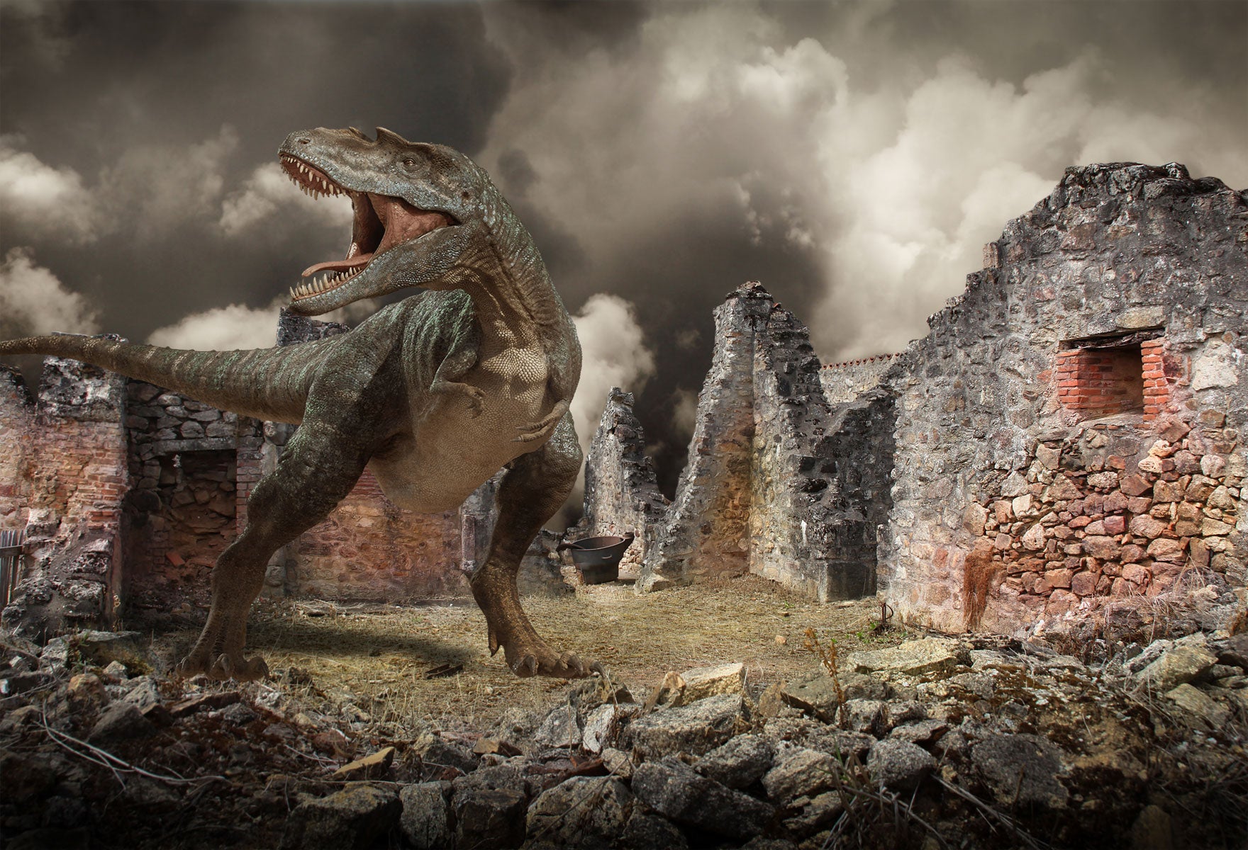 Kate Dinosaur Backdrops for Photography -UK