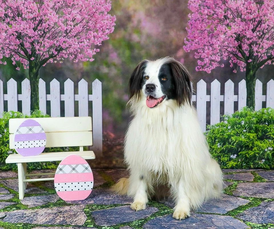 Kate Rock Wall Computer Printed Rubber Floor Mat -UK