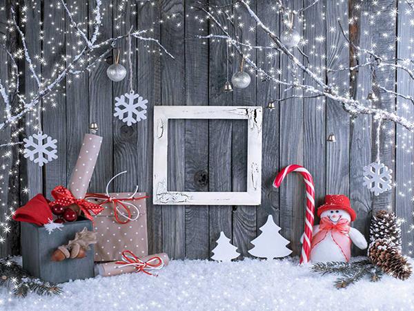 Katebackdrop£ºKate Gray Wood Wall Shinny Tree Snow Photo Background