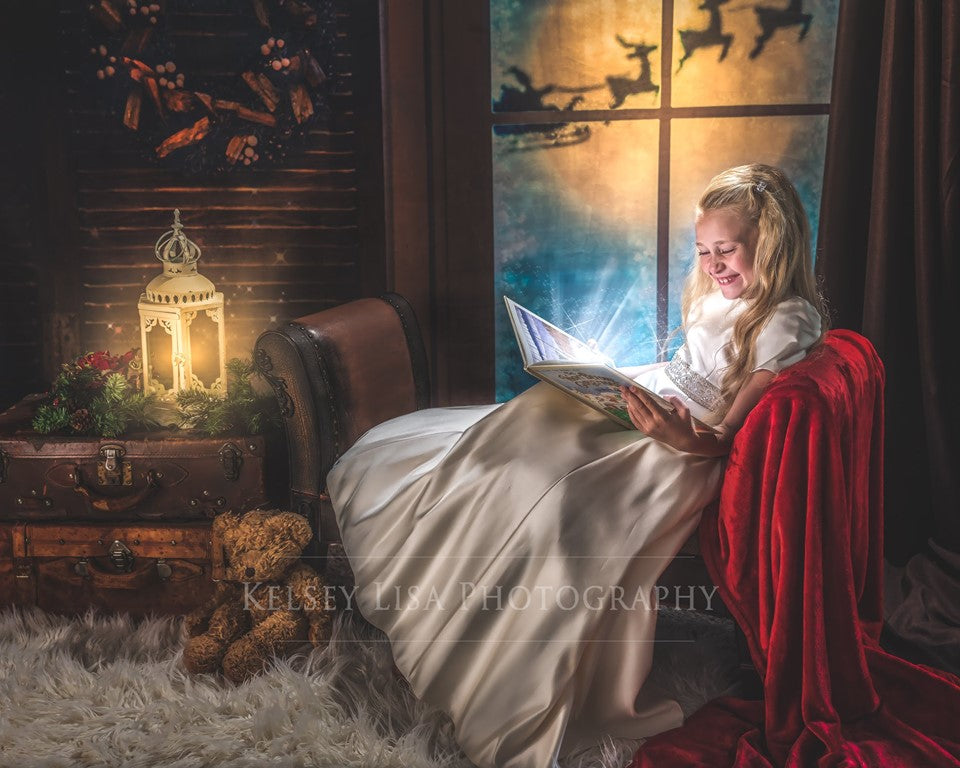 Christmas Moon And Reindeer Outside Window