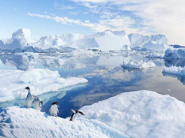 Kate Snow World Arctic Glacier White and Blue Natural Backdrop - Kate backdrop UK