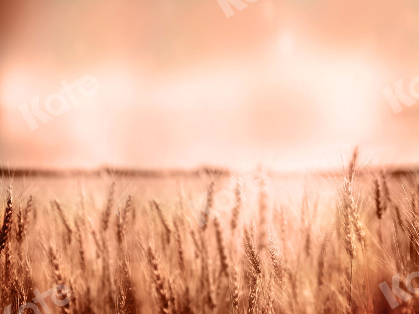 Kate Autumn Backdrop Wheatfield for Photography -UK