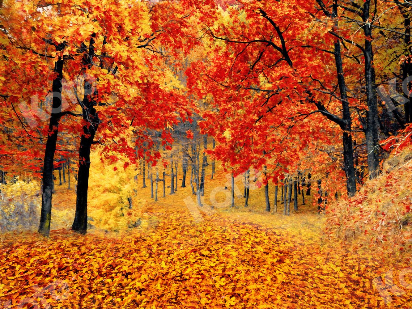 Kate Fall Backdrop Maple Forest for Photography -UK