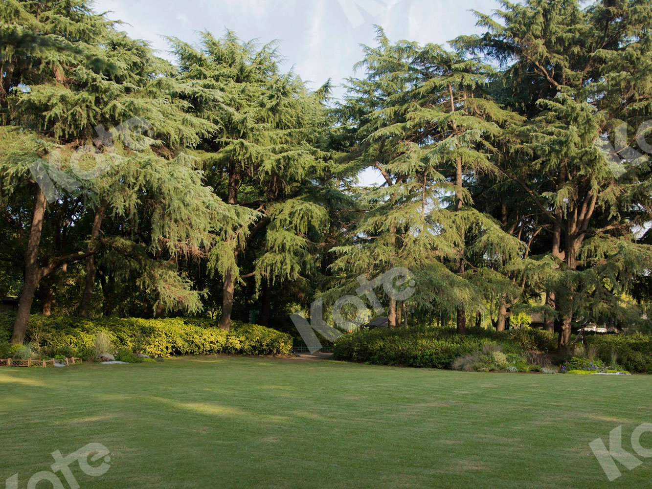 Kate Garden Grass Backdrop for Photography -UK