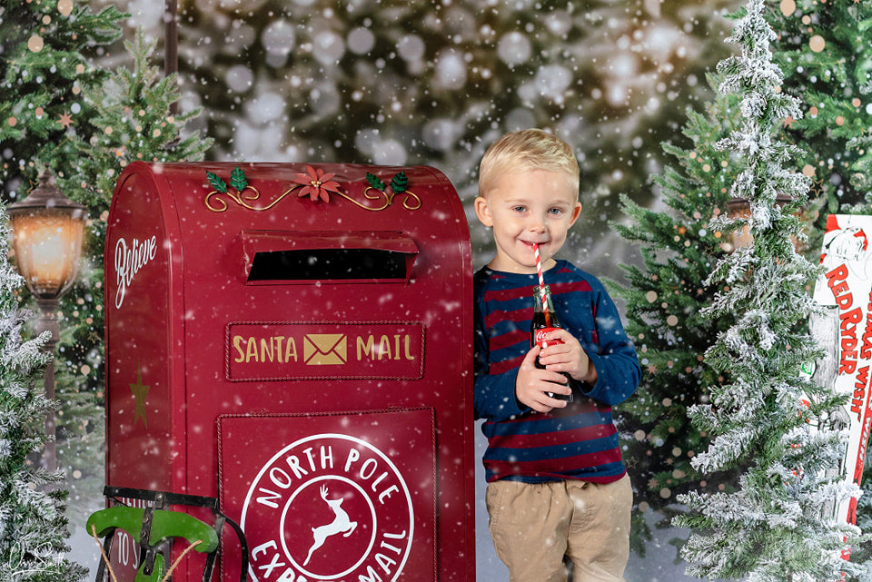 Kate Christmas Snow Forest Lights Backdrop for Photography -UK