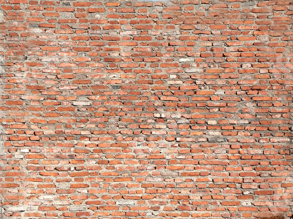 Kate Red Brick Wall Backdrop Designed by Jia Chan Photography -UK
