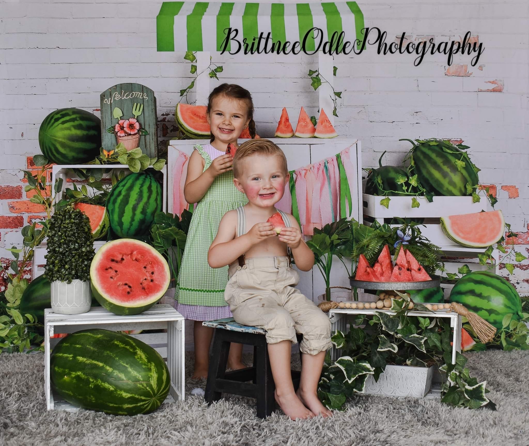 Kate Summer Watermelon Shop Backdrop Designed by Jia Chan Photography -UK