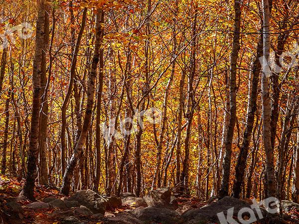 Kate Fall Forest Backdrop Designed by Emetselch -UK