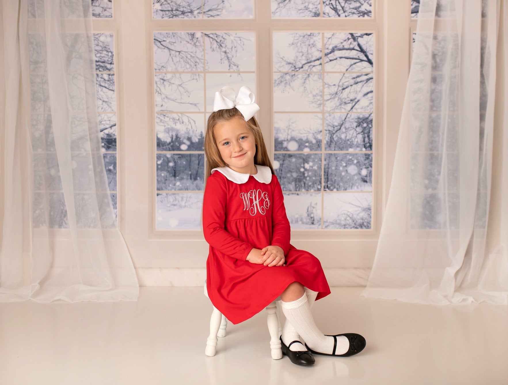 Kate Window Backdrop Winter Snow Garden Designed by Emetselch -UK