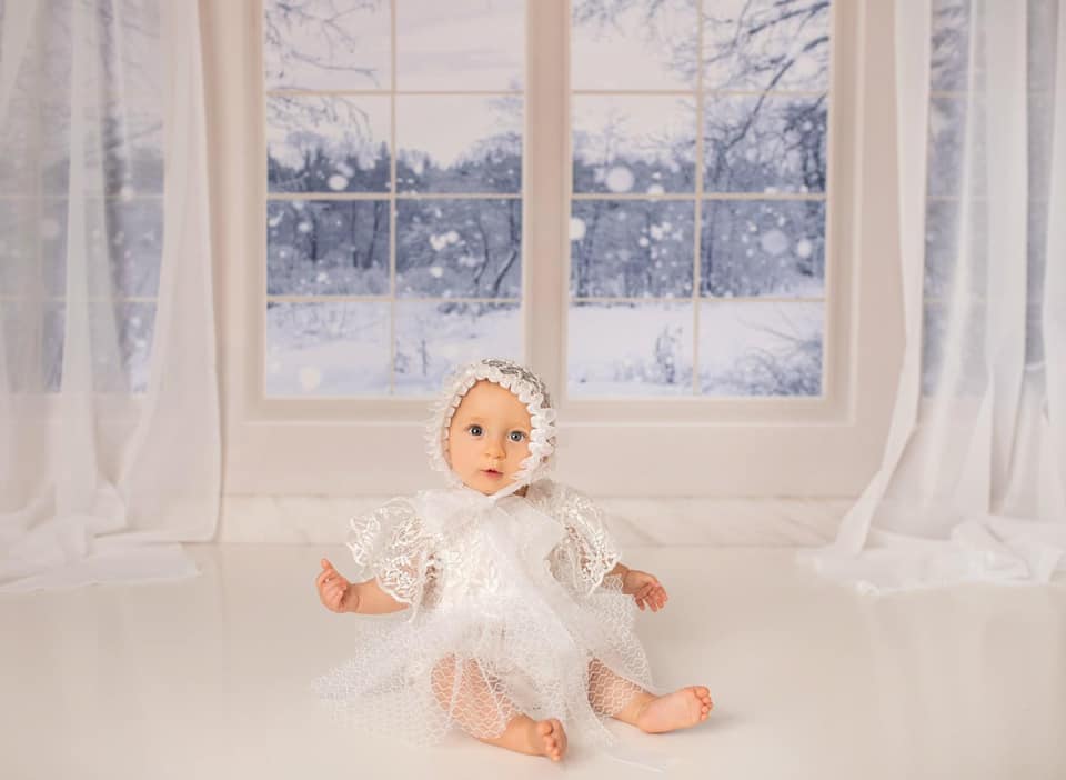 Kate Window Backdrop Winter Snow Garden Designed by Emetselch -UK