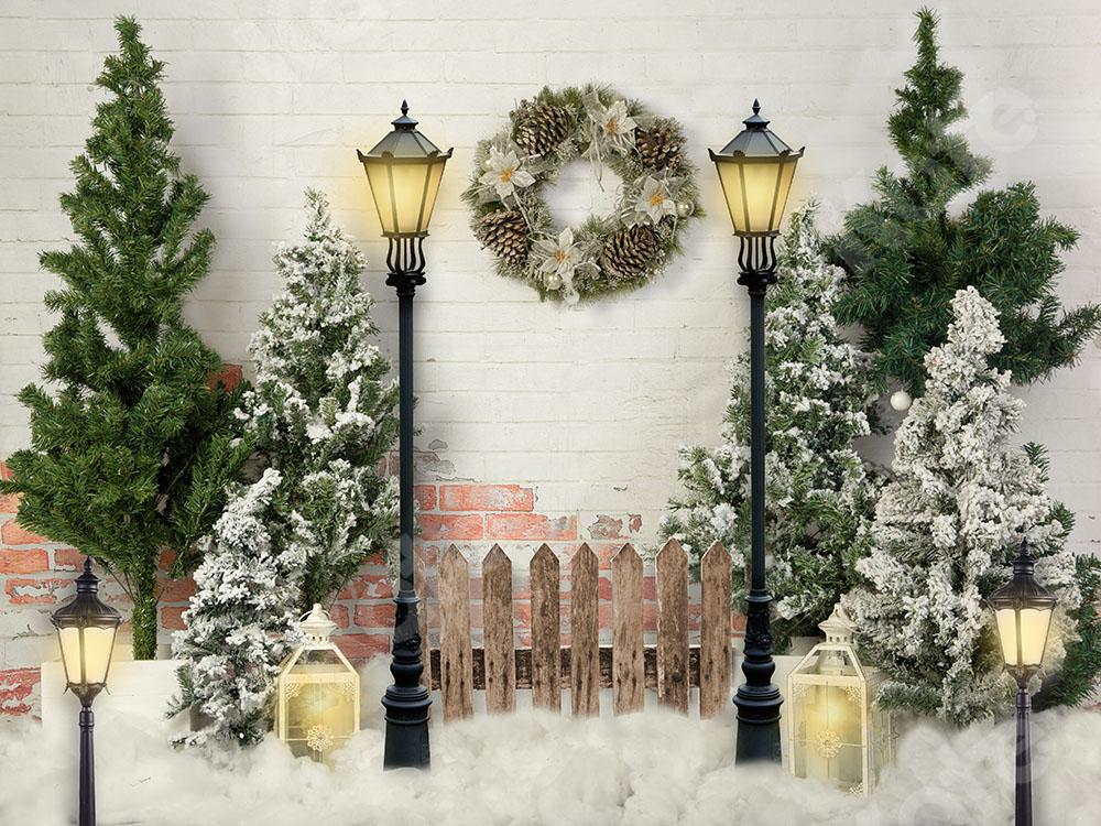 Kate Xmas Backdrop Christmas Garden with Lights Designed by Emetselch -UK