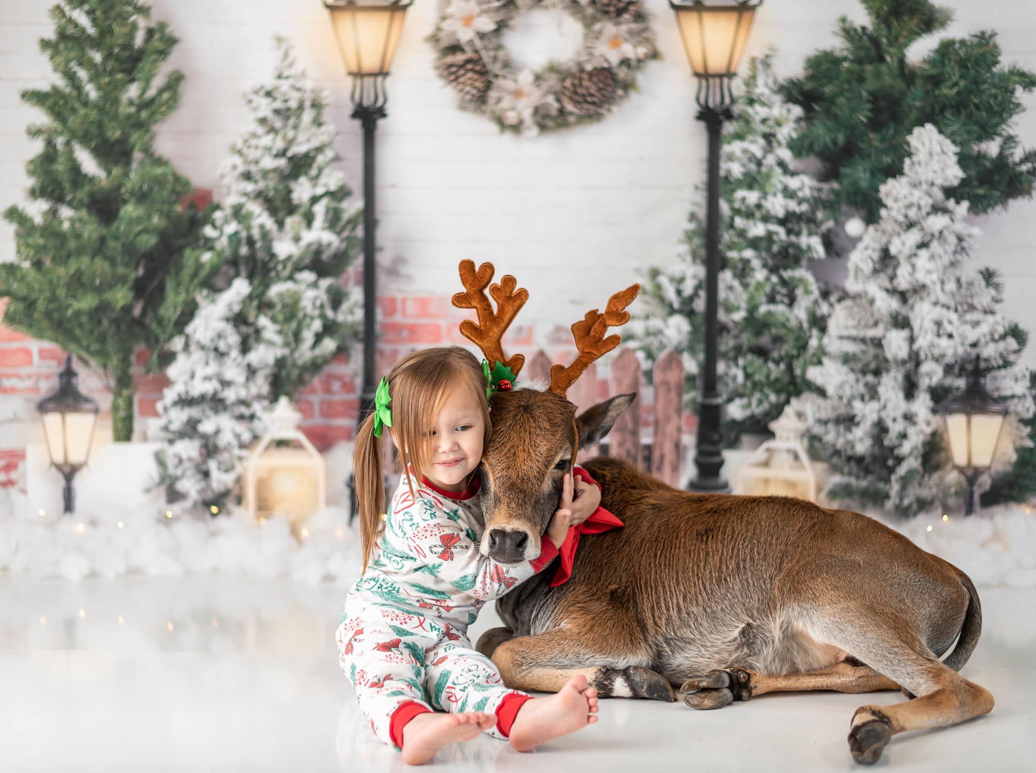 Kate Xmas Backdrop Christmas Garden with Lights Designed by Emetselch -UK