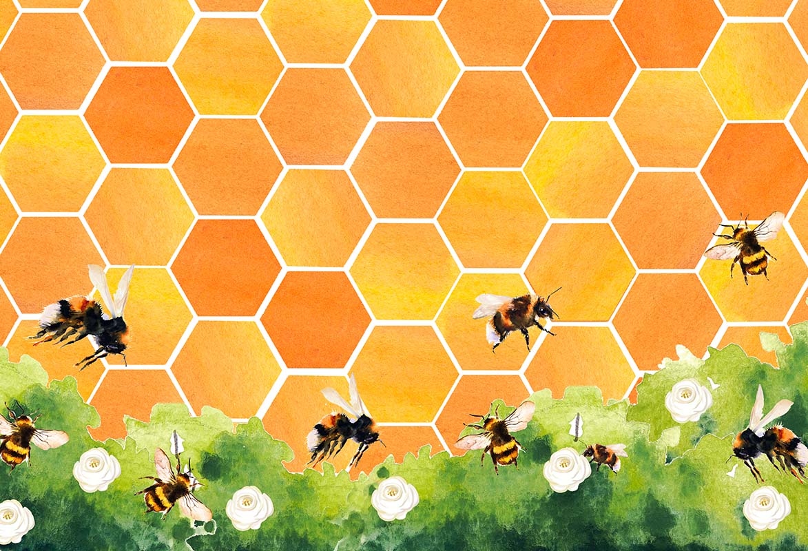 Kate Honeycomb Bee Backdrop Designed by GQ -UK