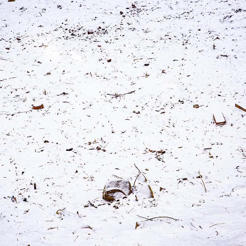 Kate Winter Snowfield Backdrop Designed by Emetselch -UK