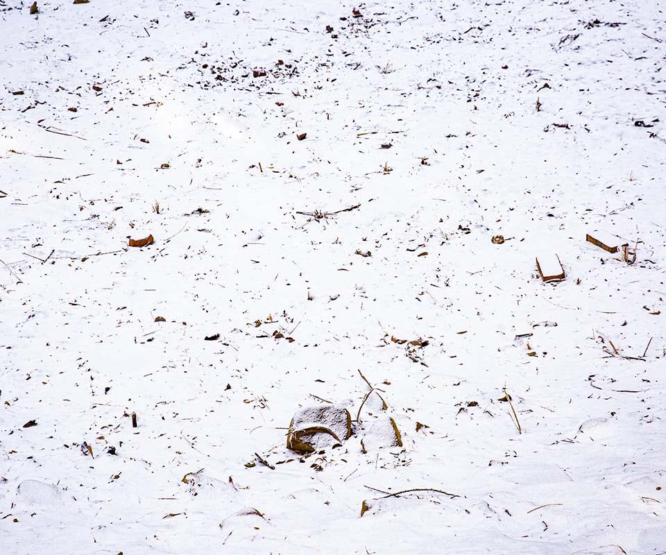 Kate Winter Snowfield Backdrop Designed by Emetselch -UK