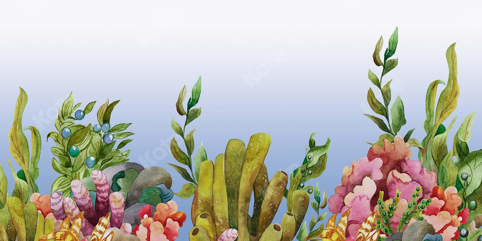 Kate Summer Under the Sea Corals Fishman Backdrop Designed by GQ -UK
