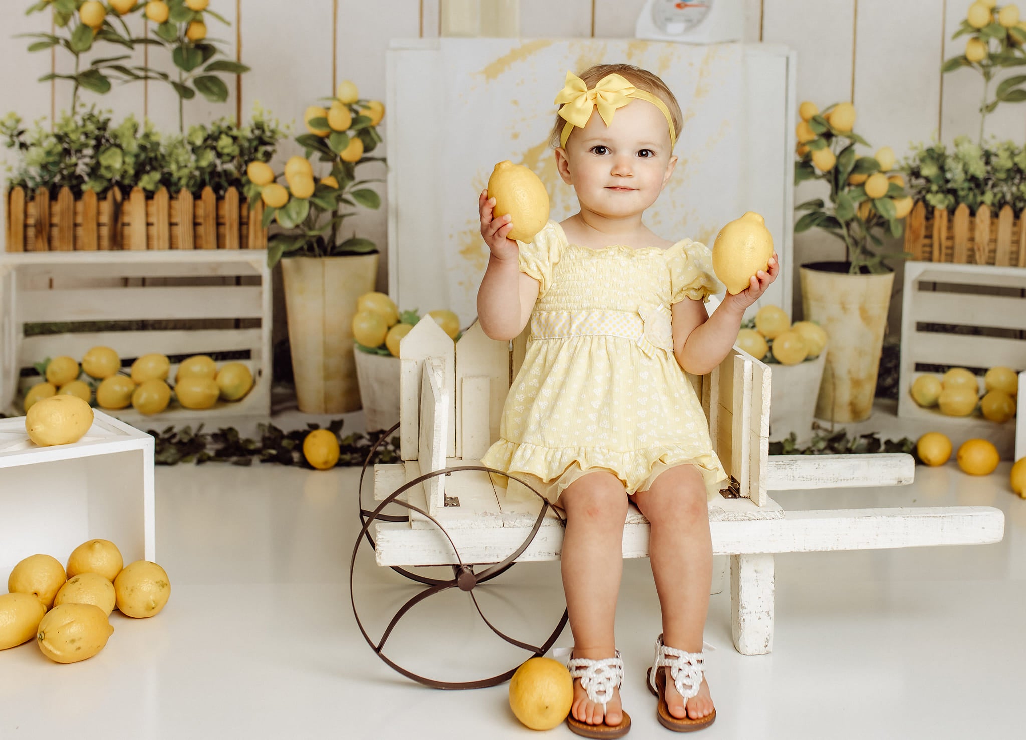 Kate Summer Lemon Store Backdrop Designed by Jia Chan Photography -UK