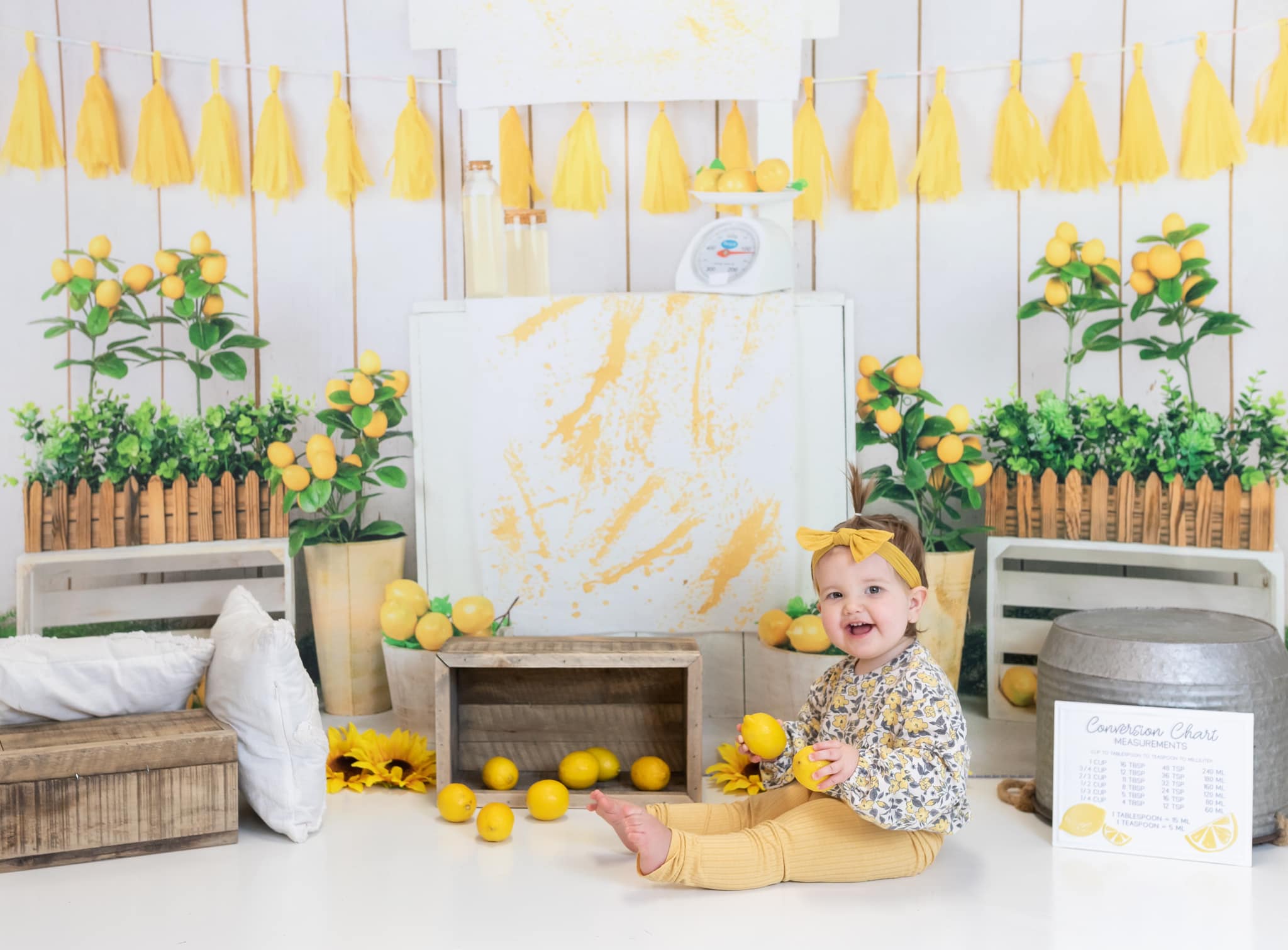 Kate Summer Lemon Store Backdrop Designed by Jia Chan Photography -UK